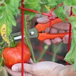 Leonard Pointed Tip Stainless Steel Hand Shears, 7.5-inch Length -Garden Care 1503 3 1