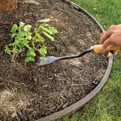 Asparagus Weeder Steel Knife -Garden Care 19ak live 7.20.22