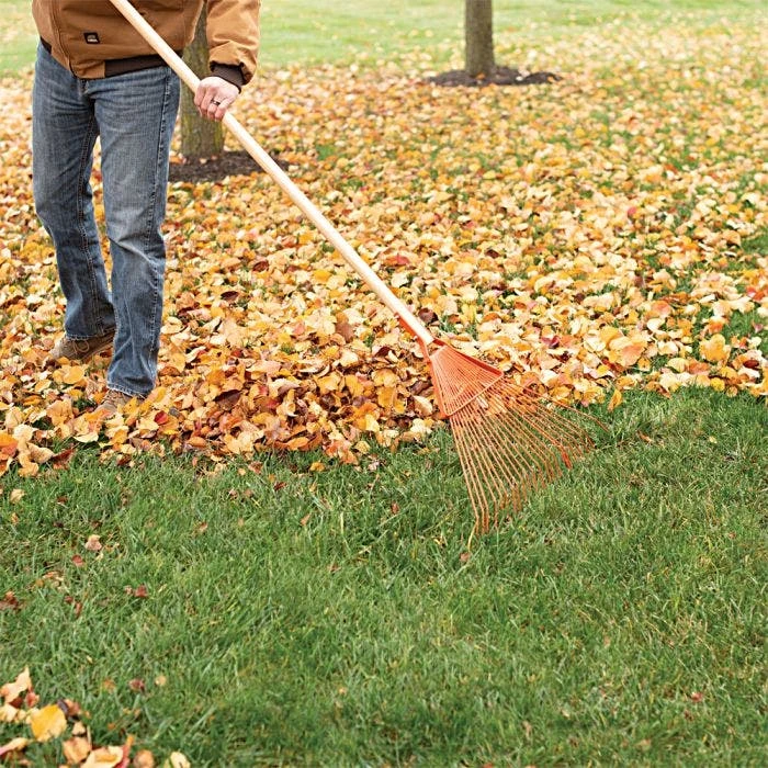 Leonard 22-Tine Forestry Rake 6 Leonard 22-Tine Forestry Rake - Image 6