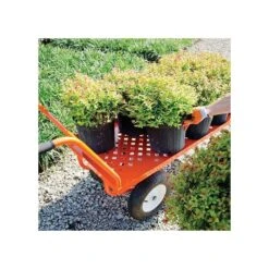 Leonard Push-Style 4-Wheeled Nursery Cart With 2-Foot X 5-Foot Deck And Pneumatic Tires -Garden Care 2460fw 4