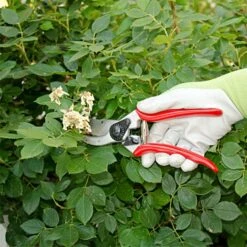 Felco 2 Classic Model - One-Hand Pruning Shear -Garden Care 2fel 7