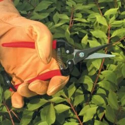 ARS Needle Nose Hand Shears, 7.5-inch Length -Garden Care 300l 4 1