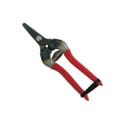 Curved Fruit Pruners