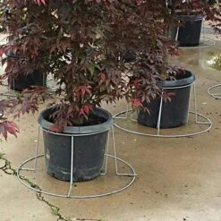 Better Bilt TopHat Plant Container Stabilizer - 10 Gallon Size -Garden Care 3ps10 2 1