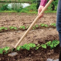 PROHOE 5.5-inch Garden Hoe -Garden Care 575g 4