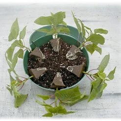 Belden Plastics 10 Inch Hanging Garden Baskets Case Of 25 -Garden Care 690202 2