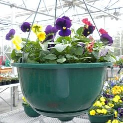 Belden Plastics 10 Inch Contemporary Baskets Case Of 50 7 Belden Plastics 10 Inch Contemporary Baskets Case Of 50 -Garden Care 6905180 3