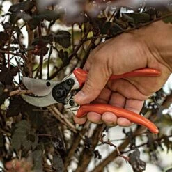 Leonard Contractor-Grade Bypass Pruners 5 Leonard Contractor-Grade Bypass Pruners -Garden Care 835 2
