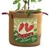 Grow Bag 10 Gal Pepper Retro Graphic