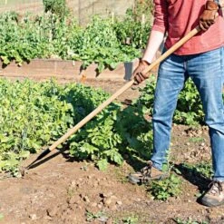 Leonard Cape Cod Weeder With 60" Wood Handle 6 Leonard Cape Cod Weeder With 60" Wood Handle -Garden Care acw60 2