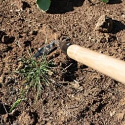 Leonard Cape Cod Weeder With 60" Wood Handle 7 Leonard Cape Cod Weeder With 60" Wood Handle -Garden Care acw60 3