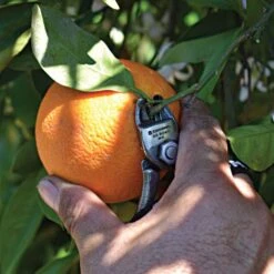 Garden Care -Garden Care ag5060 live 1