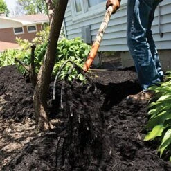 Leonard 6-Tine Forged Steel Manure Fork With 54-Inch Straight Handle 13 Leonard 6-Tine Forged Steel Manure Fork With 54-Inch Straight Handle -Garden Care amf6 5 1