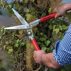 Berger Compact Precision Topiary Shear With Wooden Handles -Garden Care b2510 live2