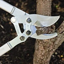 Leonard Compound Action Bypass Loppers, 2-1/8-Inch Cutting Capacity -Garden Care c850 2