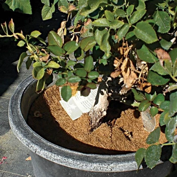 Coco Weed Guards, 90-Centimeter Diameter, Case Of 15 4 Coco Weed Guards, 90-Centimeter Diameter, Case Of 15 - Image 4