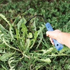 CobraHead Weeder And Cultivator, 13-inch Handle -Garden Care chead 3