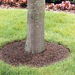 Rubberific® Tree Rings 24in, Brown, Box Of 3 -Garden Care dctr24bn3 live