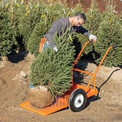 Leonard Flatbed 2-Wheel Nursery Cart, 2ft X 4ft Low Deck, 850 Lb Capacity -Garden Care f2448lw 5 1