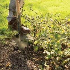 Leonard Forged Round Point Shovel With 48in Ash Handle 8 Leonard Forged Round Point Shovel With 48in Ash Handle -Garden Care fw4 3