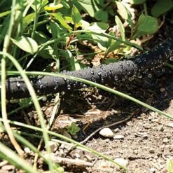 Bulk Soaker Hose By A.M. Leonard, 5/8in X 250ft, Kink, Crush, And Freeze Resistant -Garden Care gw250 2