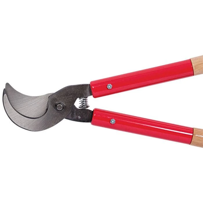 Corona; Loppers, 3-inch Cutting Capacity 3 Corona; Loppers, 3-inch Cutting Capacity - Image 3