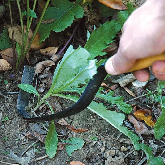 Hot Bed Weeder 2 Hot Bed Weeder - Image 2