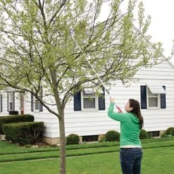 ARS LongReach Pruner 6ft Fixed Length Super Light Razor Edge -Garden Care lrp6 7