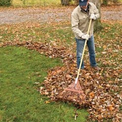 Steel 24 Tine Spring Rake By A.M. Leonard, Lifetime Warranty -Garden Care msr 224u 3