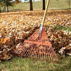 Steel 24 Tine Spring Rake By A.M. Leonard, Lifetime Warranty -Garden Care msr 224u 4