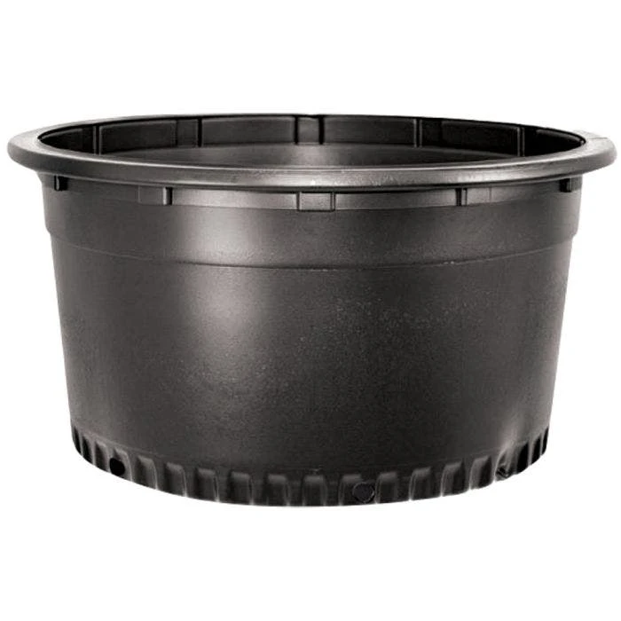 NSI Grip Lip Container Trade 20 Squat 1 NSI Grip Lip Container Trade 20 Squat