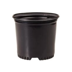 NSI Pressure Formed Container Trade True 1