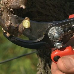 Bahco Professional Ergonomic Pruners, 0.75-inch Cutting Capacity -Garden Care pxm2 5