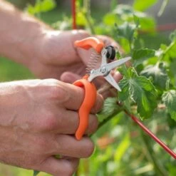 Hands-Free Ring Pruner -Garden Care rp2 4