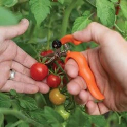 Hands-Free Ring Pruner -Garden Care rp2 6