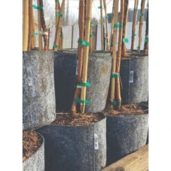 Charcoal Line Root Pouch Bales, 12-18 Months, 3 Gallon -Garden Care rp318 stacked 1 1