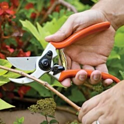 Leonard Pruner, Saw, Sheath Combo Kit 14 Leonard Pruner, Saw, Sheath Combo Kit -Garden Care sp15com7 6