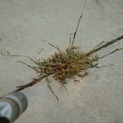 Red Dragon; 400,000 BTU Torch Kit 11 Red Dragon; 400,000 BTU Torch Kit -Garden Care t230 6