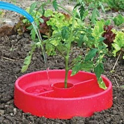 Tomato Crater, 3-pack -Garden Care tc3 3