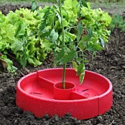 Tomato Crater, 3-pack -Garden Care tc3 4