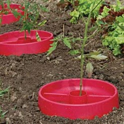 Tomato Crater, 3-pack -Garden Care tc3 7