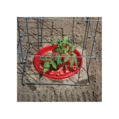 Tomato Crater, 3-pack -Garden Care tc3 8