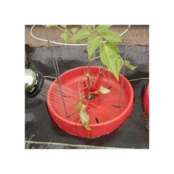 Tomato Crater, 3-pack -Garden Care tc3 9
