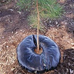 36" Round TreeDiaper® Landscaper Pro, Pack Of 12