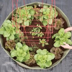 Root Pouch Non Degradable Mega Grow Bag Raised Bed 15 Root Pouch Non Degradable Mega Grow Bag Raised Bed -Garden Care vp boxerbed 5