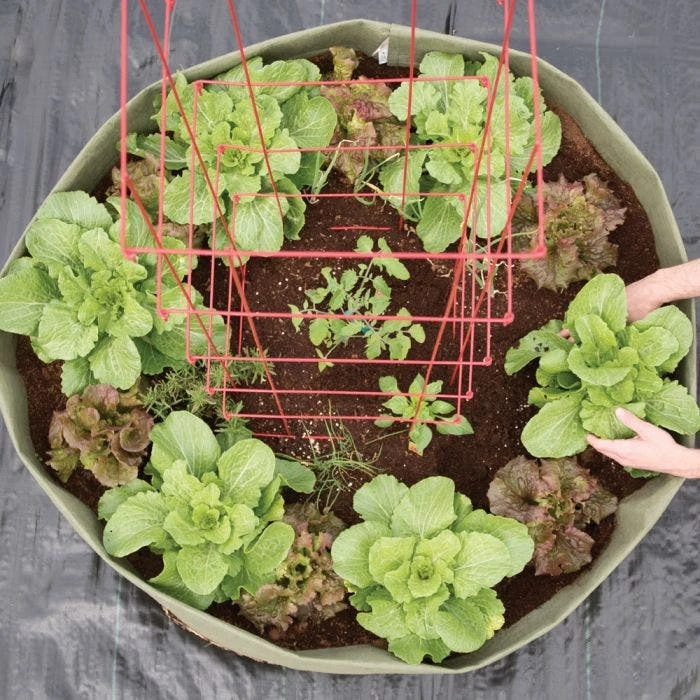 Root Pouch Non Degradable Mega Grow Bag Raised Bed 6 Root Pouch Non Degradable Mega Grow Bag Raised Bed - Image 6