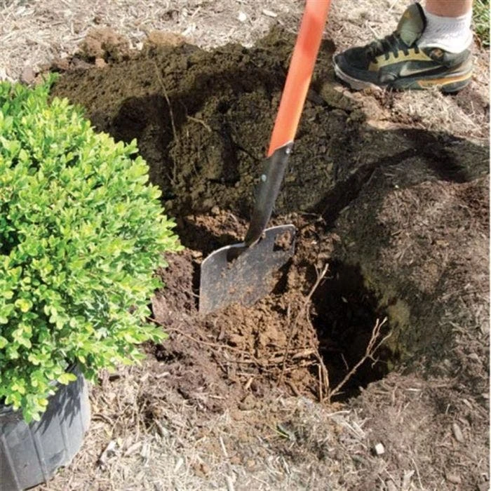 Leonard Caprock Irrigation Shovels 6 Leonard Caprock Irrigation Shovels - Image 6