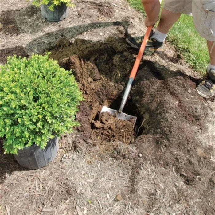 Leonard Caprock Irrigation Shovels 7 Leonard Caprock Irrigation Shovels - Image 7