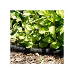 Pro Series 5/8-inch Soaker Hose 17 Pro Series 5/8-inch Soaker Hose -Garden Care vp gw 6