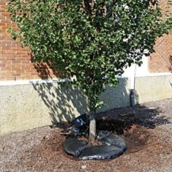 TreeDiaper Singles -Garden Care vp tdxx 4